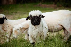 Keepers Cottage - Rudge Farm Cottages