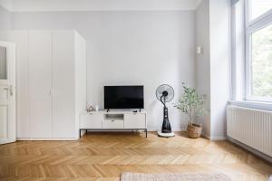 Serene and spacious apartment in the centre