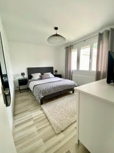 Appartements Bel appartement Nantes : photos des chambres
