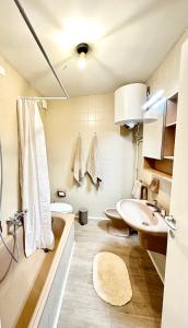 Tonale Ski-in AlpView Studio