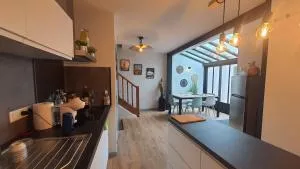 Maison proche centre historique - 阿尔比