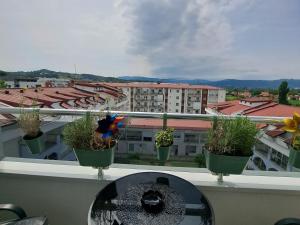Elephant Apartments