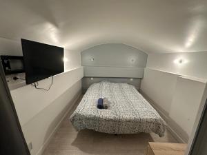 Appartements Viens dans mon beau jardin ! 012 : photos des chambres