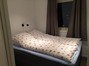 One-Bedroom Apartment room in Nordreisa Utleie