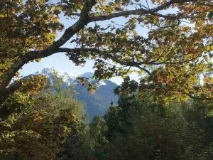 Lérable pourpre de la grotte au lion - Arguenos