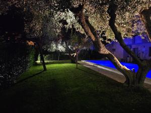 Relais tra gli Ulivi