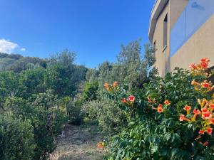 B&B / Chambres d'hotes Les chambres Marcelle : photos des chambres