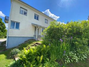 Ollinpolun matkakoti