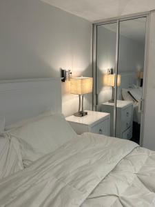 Luxury Apartment Hot Water,AC,WiFi,PS3