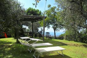 il cantuccio