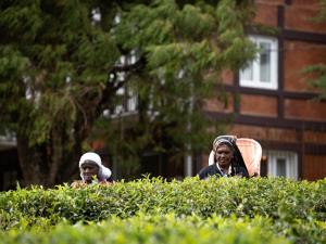 Winchester Little England