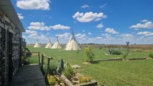 La vallée de l'Ouest - Prinçay