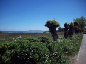 Ferienwohnung Skipper, strandnah mit Whirlpool
