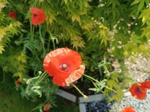 B&B Ferme du Petit Breuil