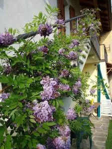 Casa Carla, Velzo - Naggio