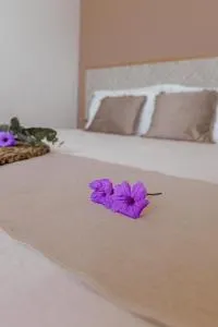 Ti Kaz des Roches - Usine du Gol