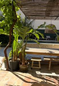 B&B / Chambres d'hotes Le Numero 10 : photos des chambres
