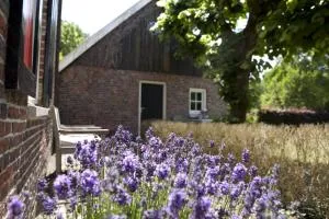 klein Wolterinck - Alstätte