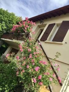 La Terrasse du Fourcat