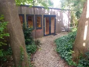 Best of both worlds, trees & town - Berkeley