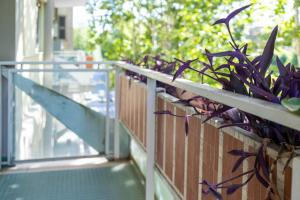 Beethoven Luxury Apartment