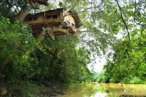 Kumbuk Tree House - Weerawila