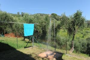 Casa Franguella - Uliveto sul mare