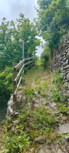 Maisons de vacances Le gite des Roussels : photos des chambres