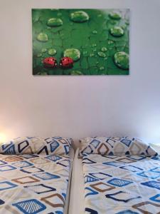La Coccinella di Susà