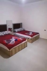 شقق فنداقيه مرسي مطروح