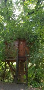 Complexes hoteliers Les Robinsonades : Chalet 2 Chambres