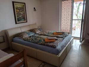 Apartment in Biograd na Moru with Terrace, Air conditioning, Wi-Fi, Dishwasher (4818-2)