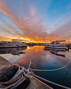 Appartements Charmant Studio : photos des chambres