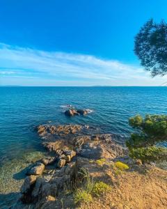 Appartements Charmant Studio : photos des chambres