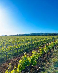 Appartements Charmant Studio : photos des chambres