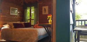 Complexes hoteliers Les Robinsonades : photos des chambres