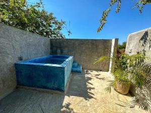 Room Cuzama disfruta de este paraiso