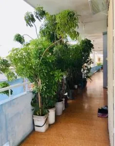 Green & Art Homestay - Doc Let