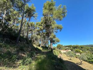 Villas Ollioules, au coeur de la pinede, proche de la mer : photos des chambres