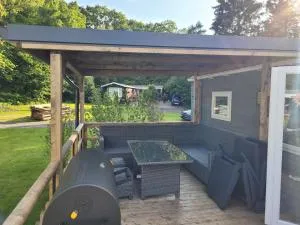 Chalet bij Lente van Drenthe nabij meer - Papenvoort