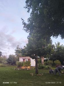 Chalets LES GORGES DU VERDON chalet : photos des chambres