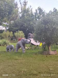 LES GORGES DU VERDON chalet