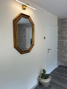 Kosmaj Ruža vetrova