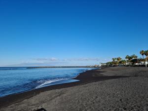 almacanarias.holidays Alma 2