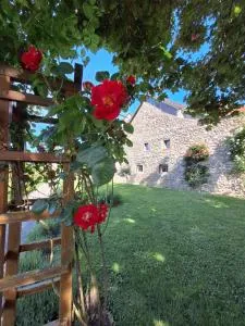 Ferienwohnung Überblick - Iznang