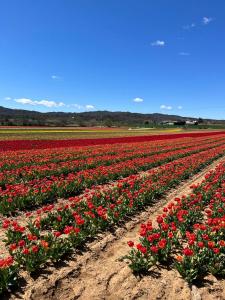 Appartements Provence Sweet Home : Appartement 2 Chambres