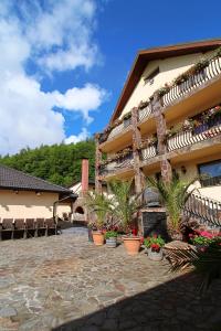 Pensiunea Adolescenta