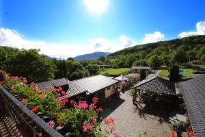 Pensiunea Adolescenta