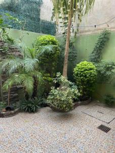 Alojamiento La buena estancia!