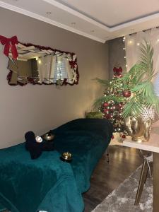 Appartements Dynasty Home Spa Appartement 100M2 Jacuzzi Terrasse : photos des chambres